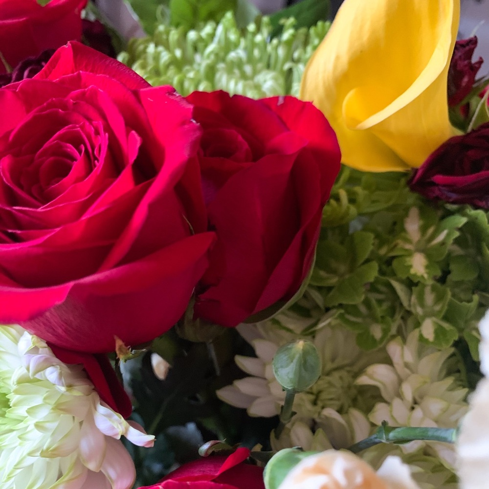 Meet your Posher, Nina